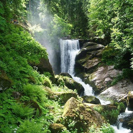 Rita - Atemberaubenden Wasserfaelle Triberg im Schwarzwald Exterior photo