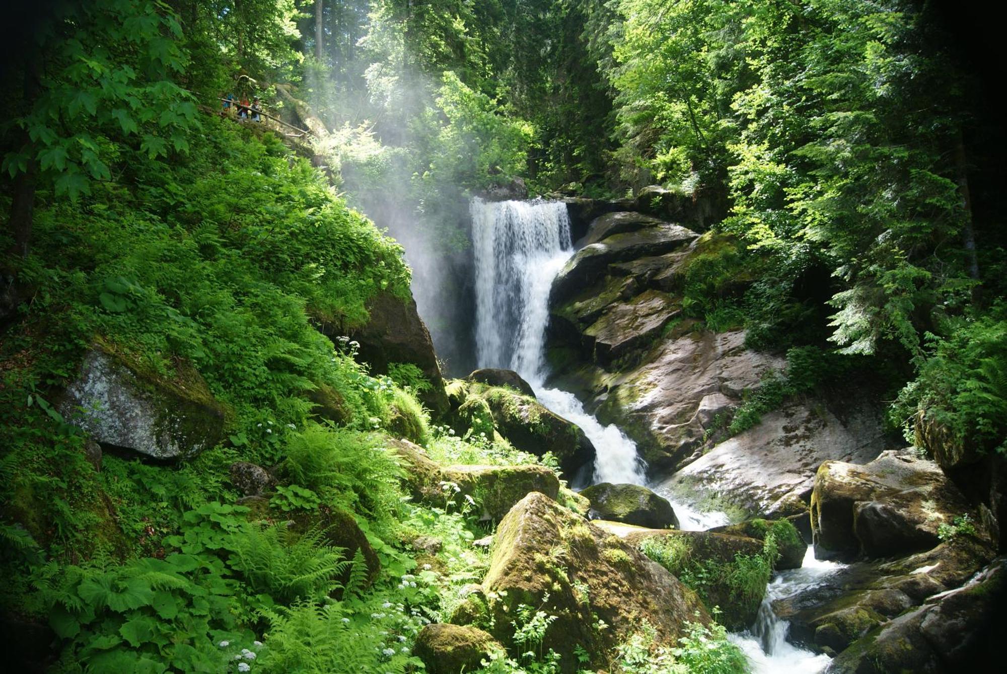 Rita - Atemberaubenden Wasserfaelle Triberg im Schwarzwald Exterior photo